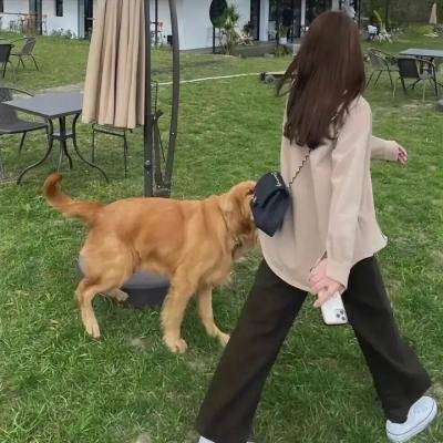 老爸老妈的浪漫史第一季